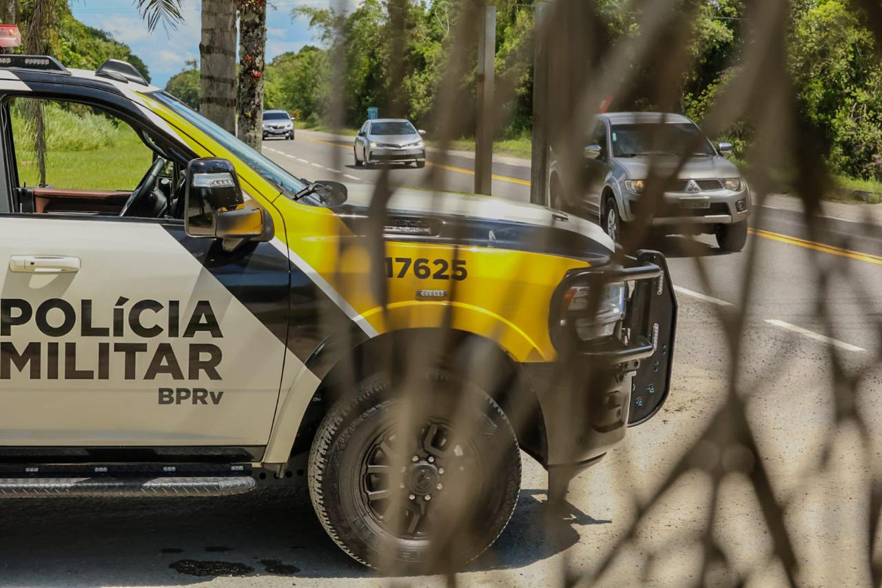 PMPR resgata tamanduá-mirim atropelado durante ações do Verão Maior Paraná