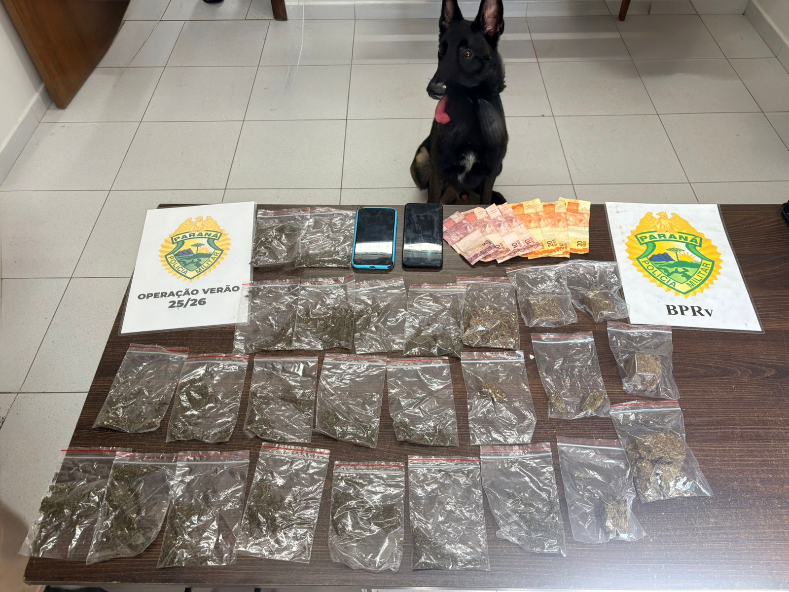 PMPR prende homem por tráfico e apreende 265 gramas de maconha em Matinhos