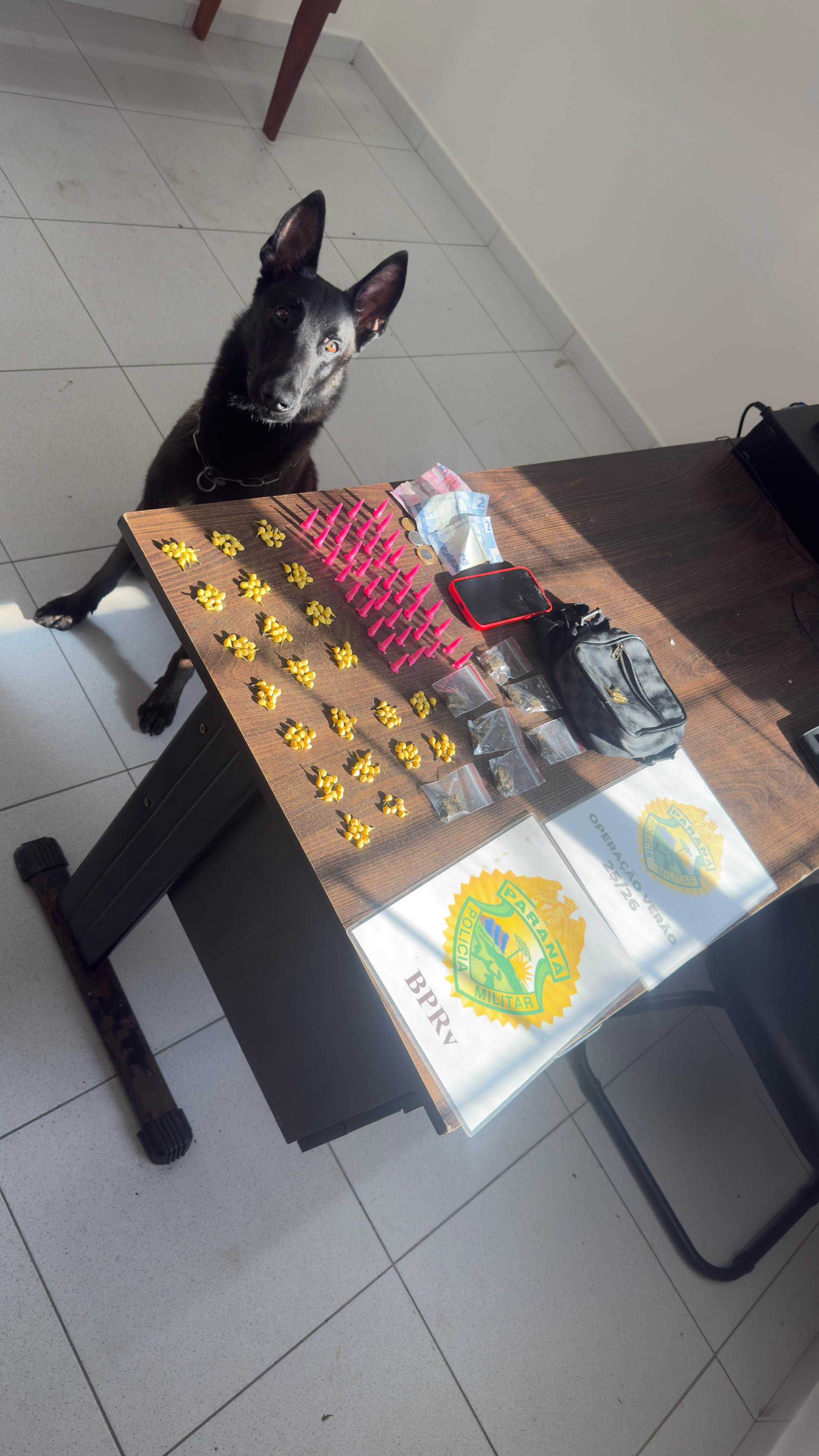 PMPR faz apreensão de 216 pedras de crack e prende suspeito de tráfico em Matinhos