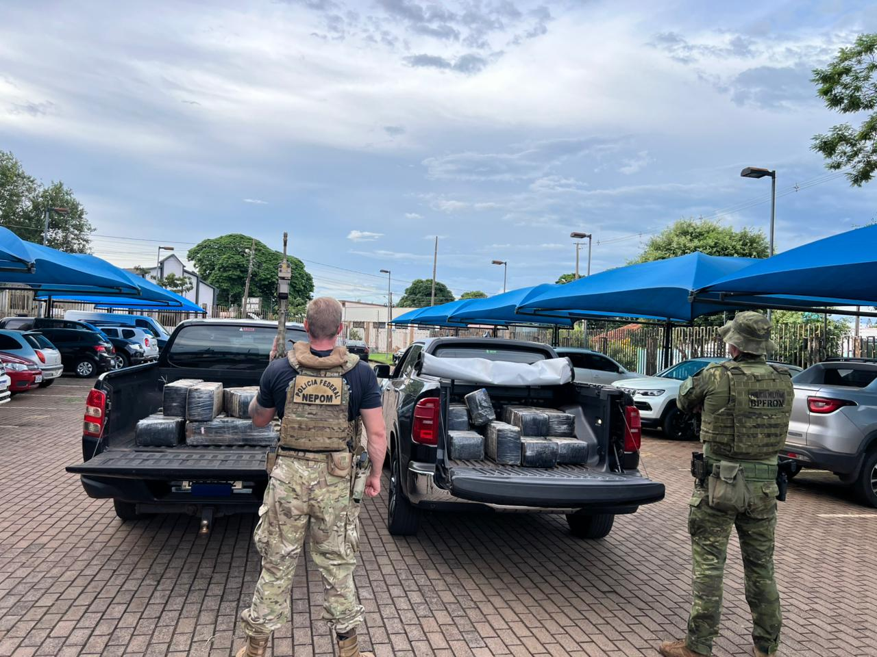 PMPR e PF apreendem 535 quilos de maconha em Mercedes