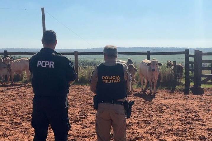 PCPR e PMPR recuperam bovinos que haviam sido furtados em Alto Paraíso