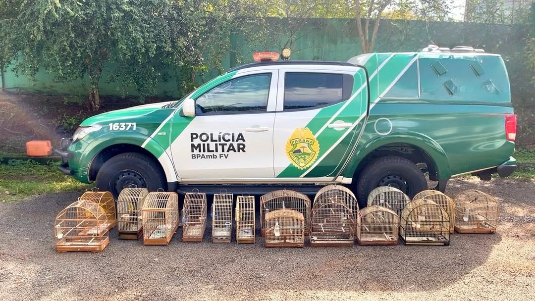 PMPR autua responsável por manter aves silvestres em cativeiro em Medianeira