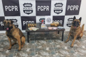  PCPR registra crescimento de 14% na apreensão de drogas em 2019 