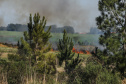 Incêndios ambientais crescem 33% no Paraná no 1.º trimestre