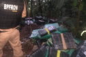 BPFron apreende mais de 5,4 toneladas de maconha e duplica apreensões de maconha no primeiro quadrimestre deste ano