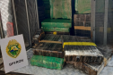 BPFron apreende mais de 5,4 toneladas de maconha e duplica apreensões de maconha no primeiro quadrimestre deste ano
