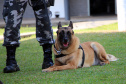  Cães do Bope se aposentam após 9 anos de atuação