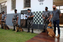  Cães do Bope se aposentam após 9 anos de atuação