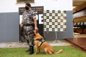  Cães do Bope se aposentam após 9 anos de atuação