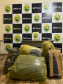 BPFron apreende 117 quilos de maconha e U$ 50 mil em notas no Oeste do estado