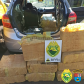 Durante feriado de Corpus Christi, BPRv retira de circulação mais de R$ 500mil em maconha no Paraná