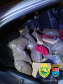 Com duas abordagens, Batalhão Rodoviário apreende mais de 700 quilos de maconha no Interior do estado