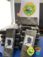  BPRv apreende mais de meia tonelada de maconha ao atender ocorrências distintas no Noroeste do estado 