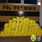 PRE apreende 20 quilos de skunk e 150 quilos de maconha no Interior do estado durante o fim de semana