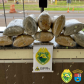 PRE apreende 20 quilos de skunk e 150 quilos de maconha no Interior do estado durante o fim de semana