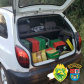 Mais de meia tonelada de maconha é apreendida em Toledo (PR) em abordagens distintas da PM
