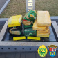 Mais de meia tonelada de maconha é apreendida em Toledo (PR) em abordagens distintas da PM