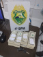  Polícia Militar recupera carro e apreende U$ 145 mil dólares ao atender ocorrência de perturbação do sossego em Maringá