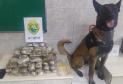 Em Maringá (PR), PM apreende quase 12 quilos de haxixe e 1,5 mil comprimidos de ecstasy