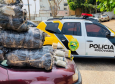 Policiamento em rodovias estaduais do Noroeste do estado resulta em mais de 325 quilos de drogas apreendidas no final de semana