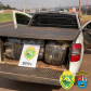  Mais de 150 quilos de maconha são apreendidos pelo BPRv no Oeste e Noroeste do estado 