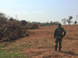 Denúncia leva Polícia Ambiental à aplicar R$ 80 mil em multas por desmatamento em Iporã 