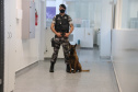 Polícia Científica e BOPE treinam cães de faro para encontrar novas drogas