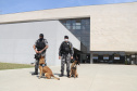 Polícia Científica e BOPE treinam cães de faro para encontrar novas drogas