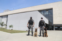  Canil do BOPE e Polícia Científica fazem parceria para alavancar estudos sobre faro de drogas 