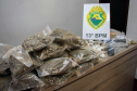 Em Curitiba, PM deflagra Operação Azteca e prende sete pessoas e mais de 15 quilos de maconha