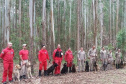  Bombeiros promovem certificação estadual de cães de busca e resgate