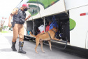 Em blitz educativa sanitária, Canil do BPRv apreende maconha em Pontal do Paraná 