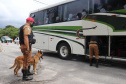 Em blitz educativa sanitária, Canil do BPRv apreende maconha em Pontal do Paraná 