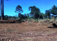 Trio é autuado em quase R$ 100 mil por destruição de vegetação nativa em Guarapuava (PR)