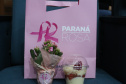 Servidoras e prestadoras de serviço vinculadas à Sesp participam da Campanha Paraná Rosa