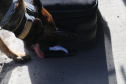 Polícia Rodoviária utiliza cães de faro contra o tráfico de drogas no Litoral