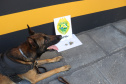 Polícia Rodoviária utiliza cães de faro contra o tráfico de drogas no Litoral