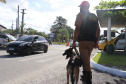 Polícia Rodoviária utiliza cães de faro contra o tráfico de drogas no Litoral