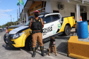 Polícia Rodoviária utiliza cães de faro contra o tráfico de drogas no Litoral