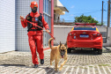 Primeiro grupo de bombeiros paranaenses e cães de faro viaja para Petrópolis