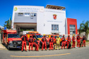 Primeiro grupo de bombeiros paranaenses e cães de faro viaja para Petrópolis