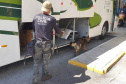 Polícia Civil faz fiscalização com cães policiais na rodoviária de Matinhos