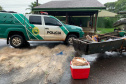 Polícia Ambiental prende seis ao constatar pesca ilegal no Lago Itaipu, no Oeste