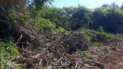 BPAmb localiza desmatamento ambiental após denúncia via 181
