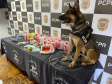 cachorro da polícia civil ao lado das drogas, bolos e dinheiro apreendidos