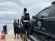 PCPR realiza fiscalização com auxílio de cães policiais no Litoral
