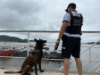 PCPR realiza fiscalização com auxílio de cães policiais no Litoral
