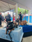 Cães da Polícia Penal são atração do Litoral Cidadão