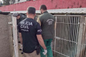 PCPR deflagra operação para resgatar 300 cães em situação de maus-tratos em Curitiba