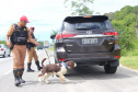 Cães da Polícia Rodoviária Estadual ajudam a garantir Carnaval mais seguro no Litoral